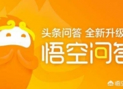 玉器文化的心得体会,各位把玩文玩核桃有什么心得体会？