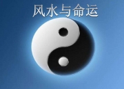 梦到修路建房子