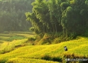 2021年国庆节去哪里旅行比较好？