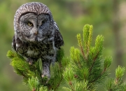 怎样化解人身上邪气,体内有一股抱怨的气，如何化郁解气？