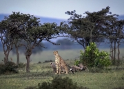 鉴定翡翠用盐水最简单方法,怎么识别翡翠是不是有化学成分？