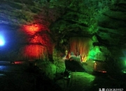 石花图片,中午才晒得到的地方养多肉可以吗？