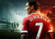 每年的6月6号是什么节日啊？