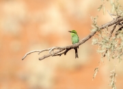 大年初二可以洗澡洗衣服吗？