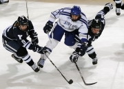 历史知识竞赛题库900题,初级会计题库，哪出的题最？