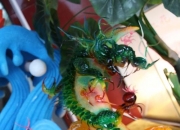 水果雕刻培训去哪里学,想学糖艺去哪里学比较好？