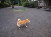 怎样才算是真正的有福之人？