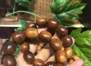 具有养生功效的饰品,佩戴哪些文玩手串会比较养生？