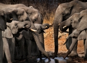 阴宅风水图解大全明细,如何辨别阴宅阳宅的风水 看房屋风水图解