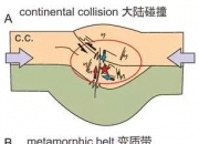 红宝石的功效与作用,红宝石葡萄什么时候开始上色？