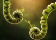 《热血传奇》私服历史上最强的家族是哪个？