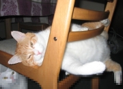 好玉的特点是什么,清代玉扳指特点是什么 ？