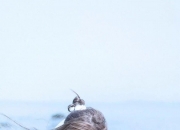 玉镯表面有点坑坑洼洼,玉镯子被磨花了如何抛光？