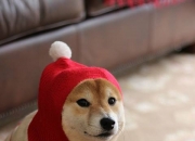 玉石雕刻步骤,匠人是如何雕刻写实玉雕的？