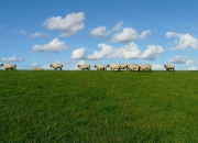 翡翠与玉的差别,如何用肉眼看出翡翠、玉、玛瑙的差别