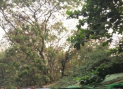 翡翠那么多为什么还那么贵,翡翠手镯为什么是最贵的？