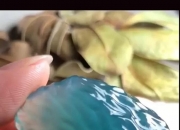 翡翠原石皮太厚了,怎么看原石里面有没有翠？