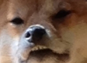 南宁玉器批发市场,广州玉器批发市场几点关门