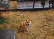 科普奇闻异事素材,有哪些民间传说、古怪故事、奇闻异事？