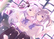 翡翠糯冰以上的有几个种,翡翠的冰糯种和糯冰种如何区分？