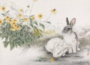 结完婚，女人天职就是相夫教子吗？