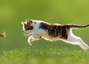 水瓶座的男生的喜好有哪些？