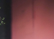 翡翠原石出售平台,翡翠原石的鉴别方法有哪些？