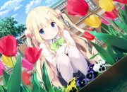 红宝石和蓝宝石哪个更值钱,钻石和红蓝宝石哪种收藏价值更高？