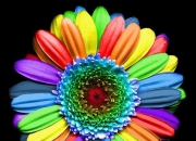 什么颜色最好,穿什么颜色服装对健康有帮助？