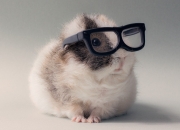 玉手镯要怎么养才会发亮,玉手镯怎么养才会越来越透