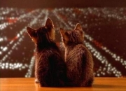 七十二局五行属性,人的五行属性查询 如何计算五行属性