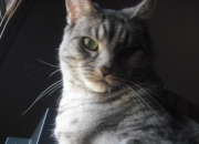 天宝石原石1公斤多少钱,翡翠原石多少钱一吨大约？