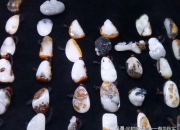 白玉好还是羊脂玉好,羊脂白玉与籽料哪个是首选？