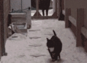 翡翠的经典故事,翡翠的由来？    关于翡翠有相关故事没