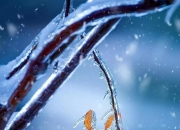 阴气重的女人命好吗,命好的女人，身上都有什么样的习惯？