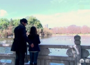 你看过最悲惨结局的电视剧是什么？