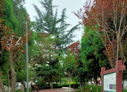 袁天罡的相面之术口诀,奇人袁天罡，此人真实性有多少？