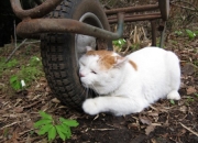 有没有好听又时尚的网名推荐？