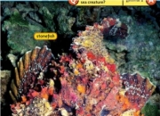 科普中国官网,有没有介绍自然现象的科普绘本推荐？