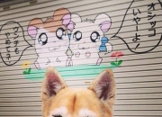 戴蓝宝石戒指的功能,钻戒有什么用，为什么结婚都要买钻戒？