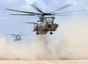 为什么老虎会咬人？？？？