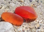 黄玉原石图片,黄蜡石品质好的，能成为下一个新宠吗？