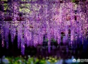 怎样的石头是玉石,什么样的石头被称为“玉石”和“玛瑙”？