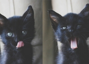 日柱、时柱纳音是什么呢？