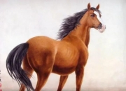 2022生肖牛运势运程七星堂,无论到哪都很受追捧的生肖有哪些？