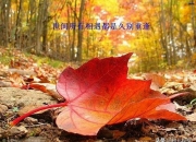 每个人都有姻缘吗?是注定的吗?,人的缘分真的是天注定吗？