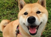 如何知道自己属于什么五行,如何知道自己在五行中属于什么火