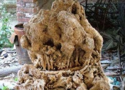 请问阳泉是个怎样的城市？