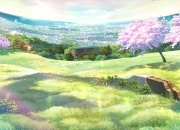 生肖属鸡的人兔年运程如何？