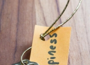 五忌是哪五忌,一个家庭想要美好，有哪些禁忌？